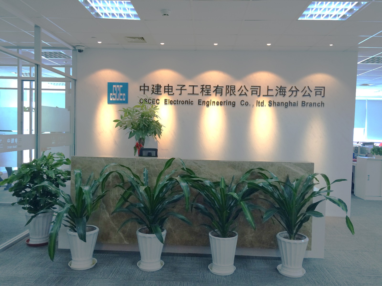 中建电子工程有限公司《青春智》